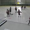HC PROFI-CZ PLZEŇ - HC Berounské Lvice